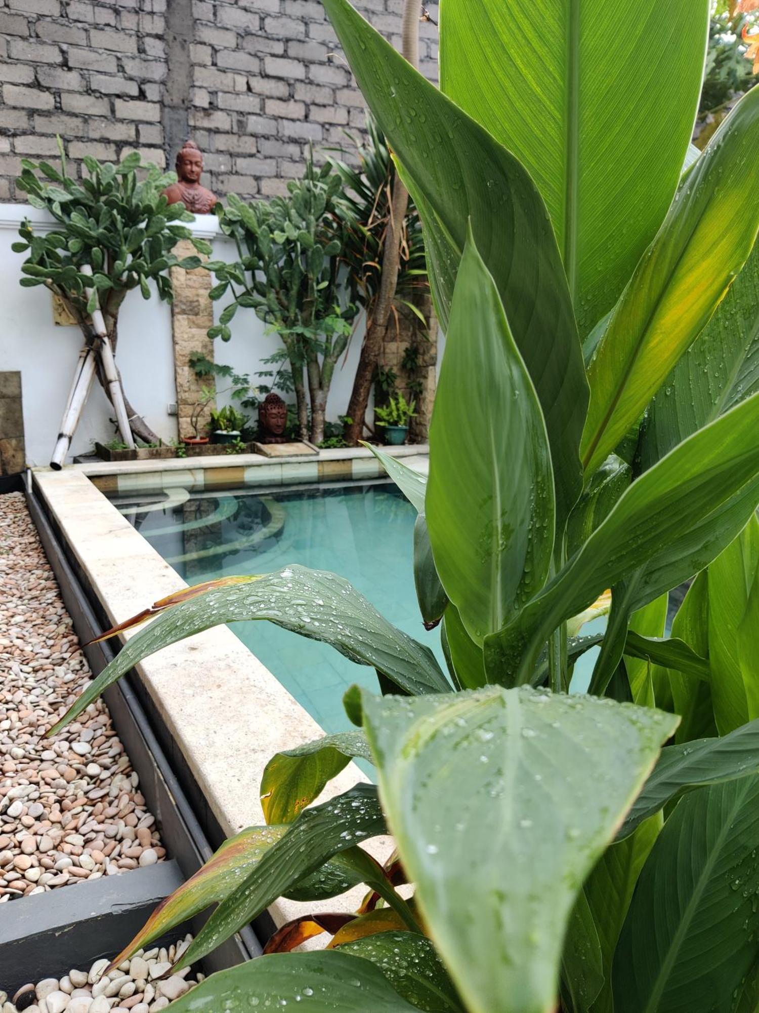Hills House Villa By Sunnyrent - Jimbaran X Balangan X Gwk Eksteriør bilde